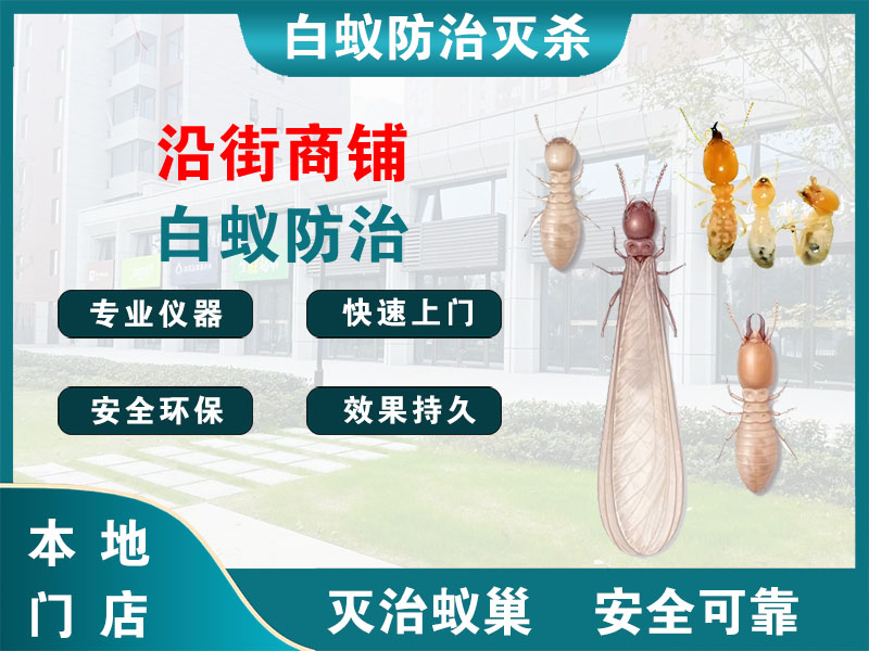绍兴沿街商铺白蚁防治