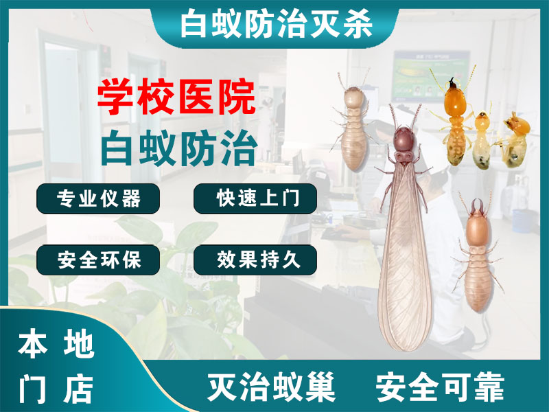 绍兴学校医院白蚁防治