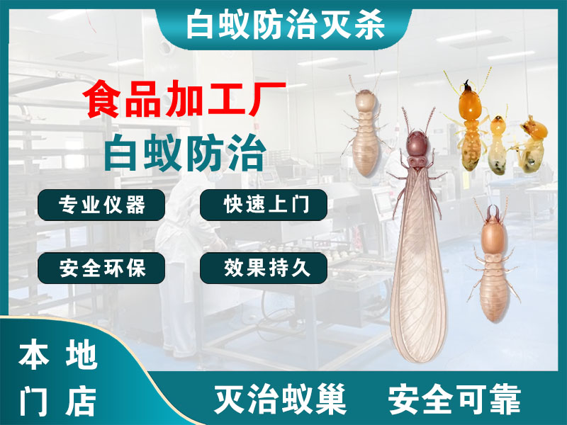 绍兴食品加工厂白蚁防治