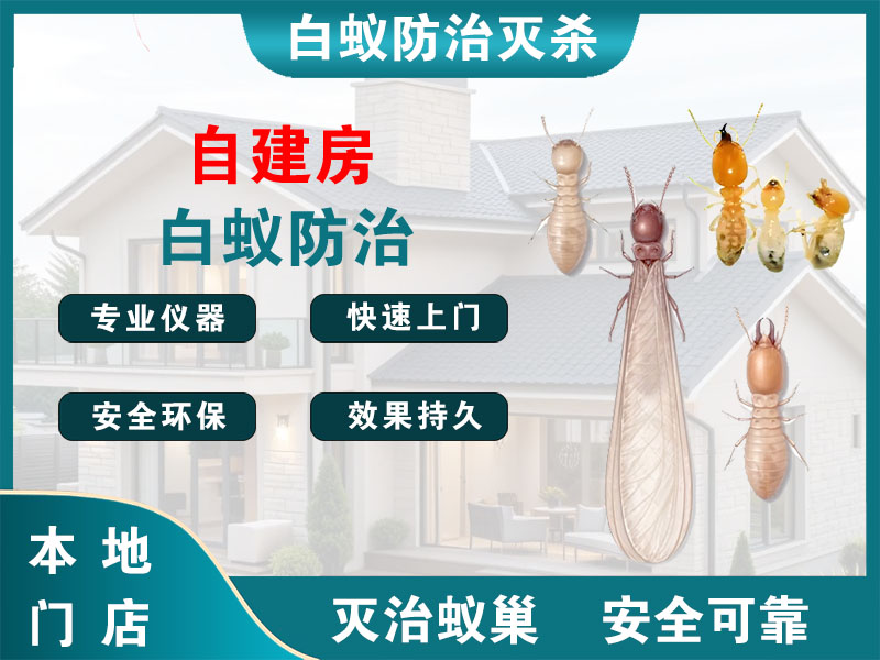 绍兴自建房白蚁防治