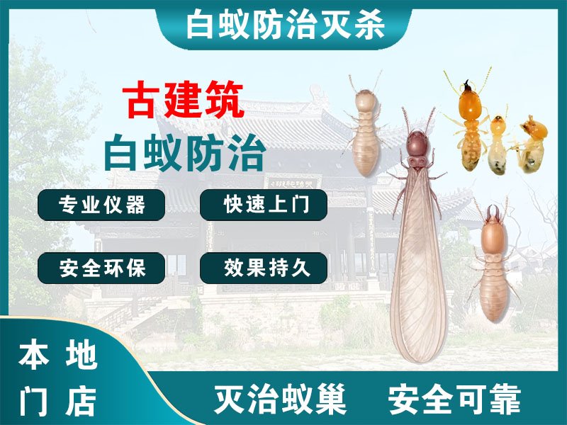 绍兴古建筑白蚁防治