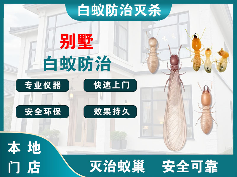 绍兴别墅白蚁防治