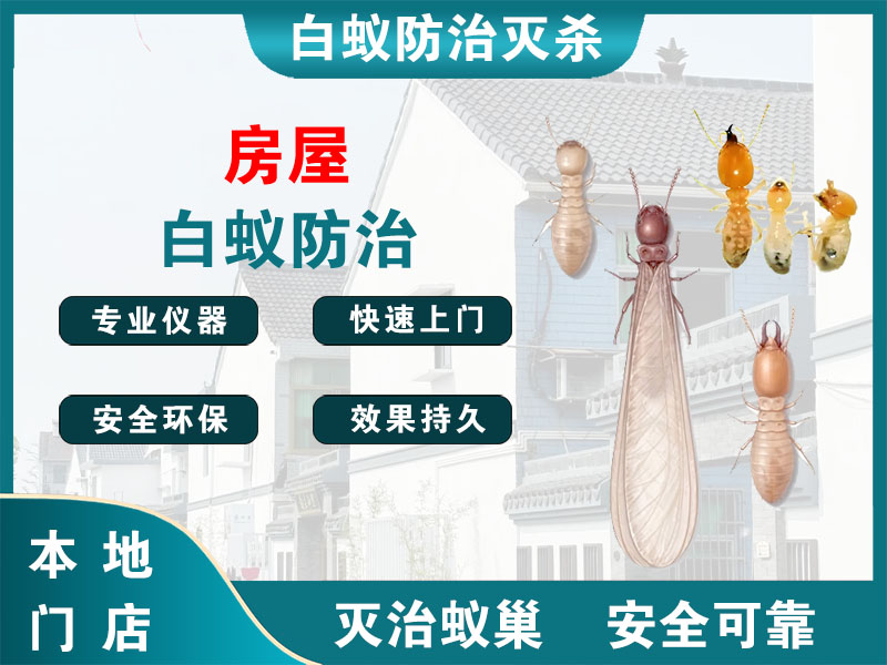 绍兴房屋白蚁防治